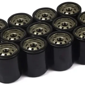 Erbjudande Oil-Filter (12 X 491056)