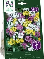 Nedsatt pris Höstlök Nelson Garden Allium Mix
