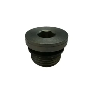 Trygg betalning Plugg R1/2" med tätning